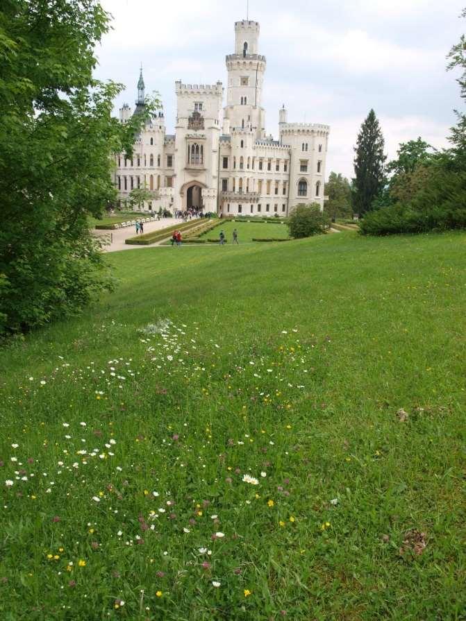Květnatá louka jako náhrada