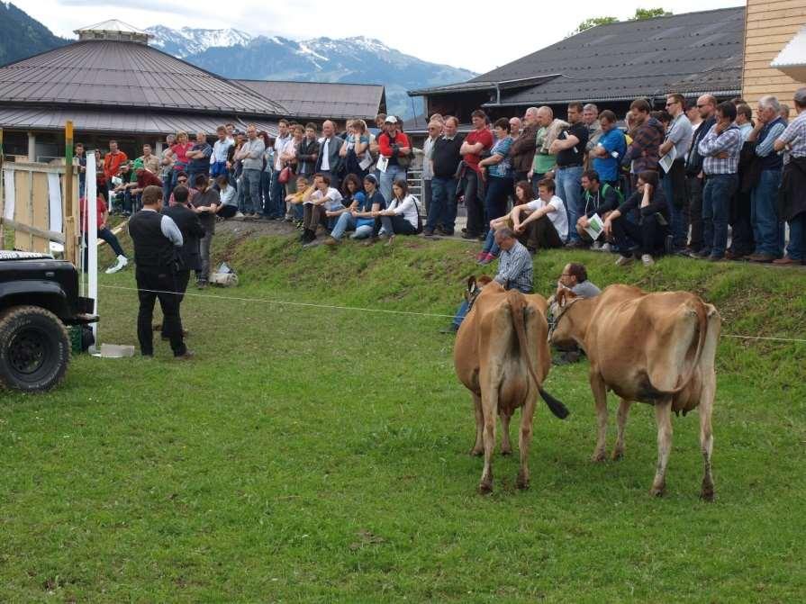 Děkuji za pozornost