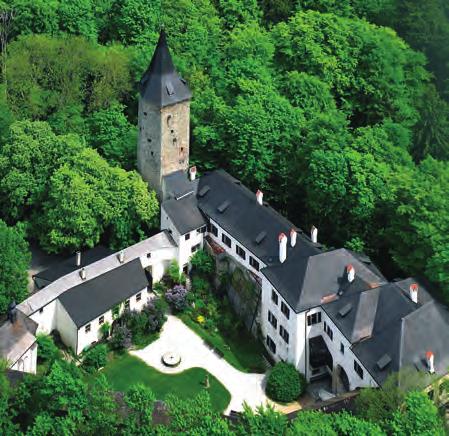 HRAD ROŠTEJN 5 Film: Pravý rytíř Pravý rytíř musel nejen v pohádce, ale také ve skutečnosti překonávat velké překážky. Kolik schodů jste museli překonat Vy, abyste získali roštejnské razítko?