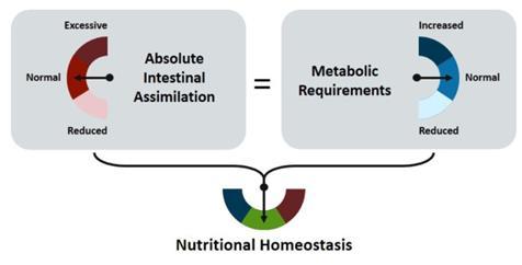 Nutriční homeostáza normální stav Udržení růstu, tělesného