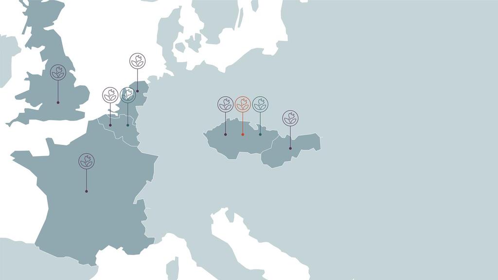 je česká energetická společnost, která na trhu působí od roku 2008.