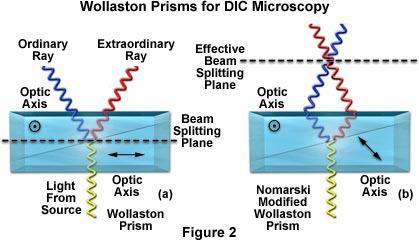 Wollastonův hranol rozdělí náhodně polarizované či nepolarizované světlo na dva
