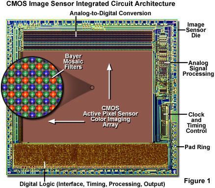 Detektory Photomultiplier tube zobrazovací zařízení rozhoduje o tom, jak malou fluorescenci jsme ještě schopni zachytit, případně jak rychlé procesy jsme schopni zaznamenat,