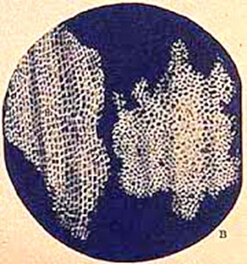 http://www.nlm.