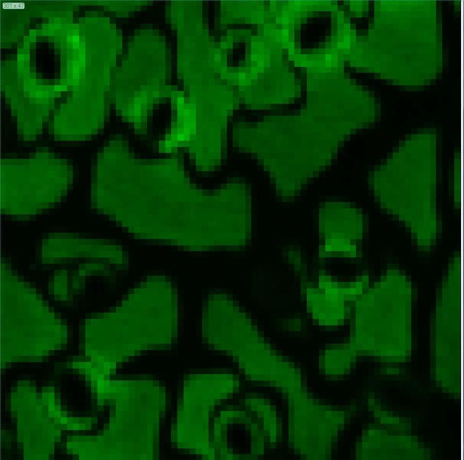749x749 px