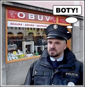 Díky nim například víme, že městská policie nepatří pod Policii ČR, ale je zaměstnancem konkrétní obce, a že na rozdíl od státní policie může použít zbraň jen pro svou vlastní bezpečnost.