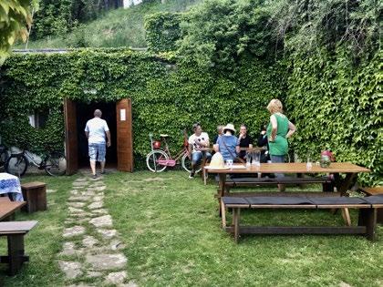 Víno povzbuzuje ducha, rozněcuje srdce, zbavuje neklidu, vyvolává veselí.