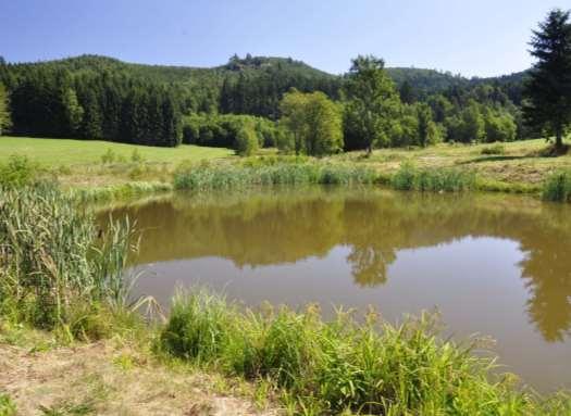 Vybudování boční vodní nádrže v rámci revitalizace vodního toku na Broumovsku, obdobné drobné vodní