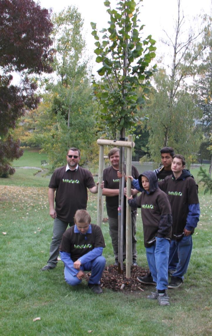 Projekt Obec v