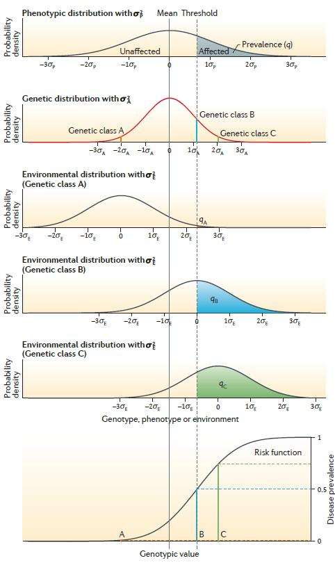 Hodnota koeficientu heritability je specifická pro každou komplexní