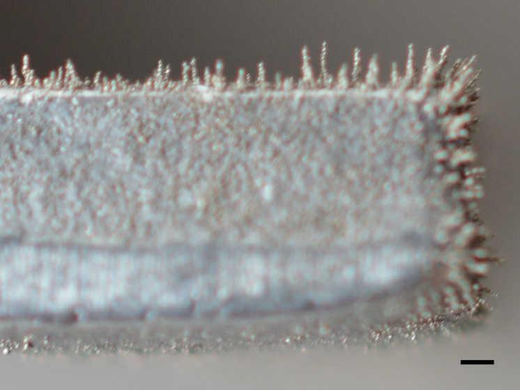 4 OVĚŘENÍ VLIVU SVAŘOVACÍCH PARAMETRŮ být více přikloněn ke slabšímu materiálu. Tak bude větší část tepelného výkonu směřovat do silnějšího materiálu a bude vytvořen hlubší průvar. 4.