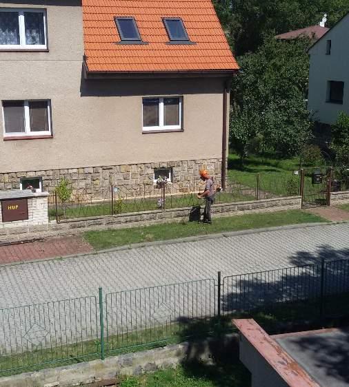 Prořezané topoly na stezce směrem do Újezdu nad Lesy. Stromořadím po ošetření a úklidu vede krásná vycházková trasa.
