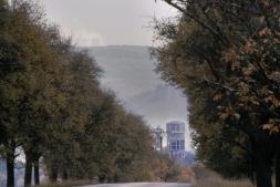 především k výrobě povidel, slivovice, k sušení. Pražená jádra se kdysi používala i k výrobě cikorky. Dřevo ze švestek se často používá k řezbářským účelům, soustružení, či k uzení.
