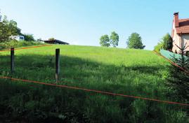 000 /m Šternberk / okres: Olomouc Žalkovice / okres: Kroměříž 950 000 775 661 357 rusné / okres: Kroměříž