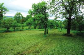 PEN nedoložen KMZ/9580 Třebětice / okres: Kroměříž 603 73 Prodej dvoupodlažního