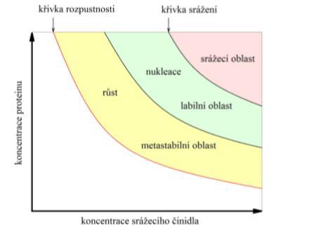 Oblast vysokého přesycení (srážecí oblast, červená) protein se bude srážet Oblast mírného přesycení (labilní oblast, zelená) zde probíhá nukleace Oblast nízkého přesycení (metastabilní oblast, žlutá)