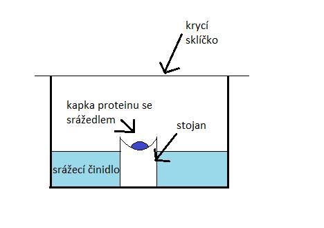2.8.1.1 Metoda sedící kapky (Sitting Drop Vapor Difussion) Metoda sedící kapky je nejvíce používaná metoda pro krystalizaci makromolekul.