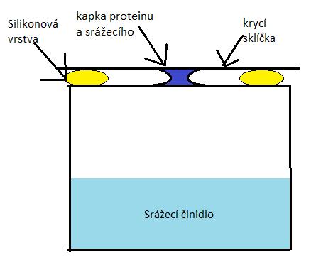 2.8.1.3 Metoda sendvičové kapky (Sandwich Drop Vapor Difussion) Další metodou je metoda sendvičové kapky, která je zobrazena na Obr. 6.