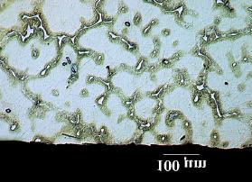 Obr. 6. Únavová tyc, únavová cást lomu, lito do písku Fig. 6. Fatigue part of the fracture, sand cast Obr. 7.