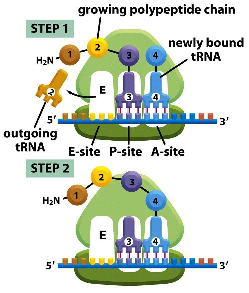 Figure 6-66 (part 1 of 4) Molecular