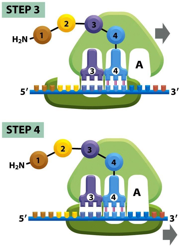Figure 6-66 (part 3 of 4) Molecular