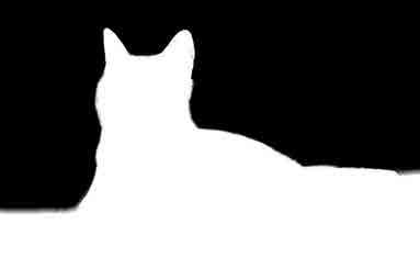 cz IAMS CAT KITTEN CHICKEN 2KG RABAT 4x kapsička IAMS kotě v omáčce 85g IAMS CAT ADULT CHICKEN 2KG RABAT 4x Kapsička IAMS kuře a krůta masem v omáčce 85g IAMS CAT ADULT SALMON 2KG RABAT 4x Kapsička