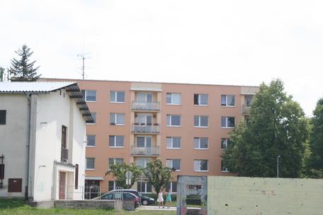 49 Žižkov II 1239,