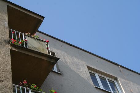Ledečs