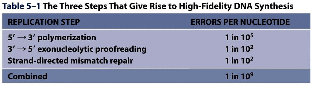 Vysoká přesnost kopírování je nezbytná Pravděpodobnost inkorporace chybné base je 1:10 5 Ve
