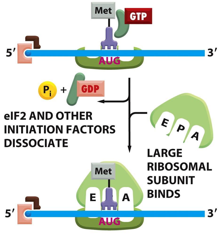 Figure 6-72 (part 3 of 5) Molecular