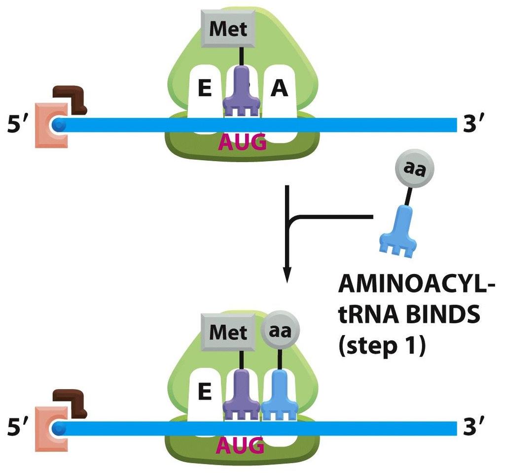 Figure 6-72 (part 4 of 5) Molecular