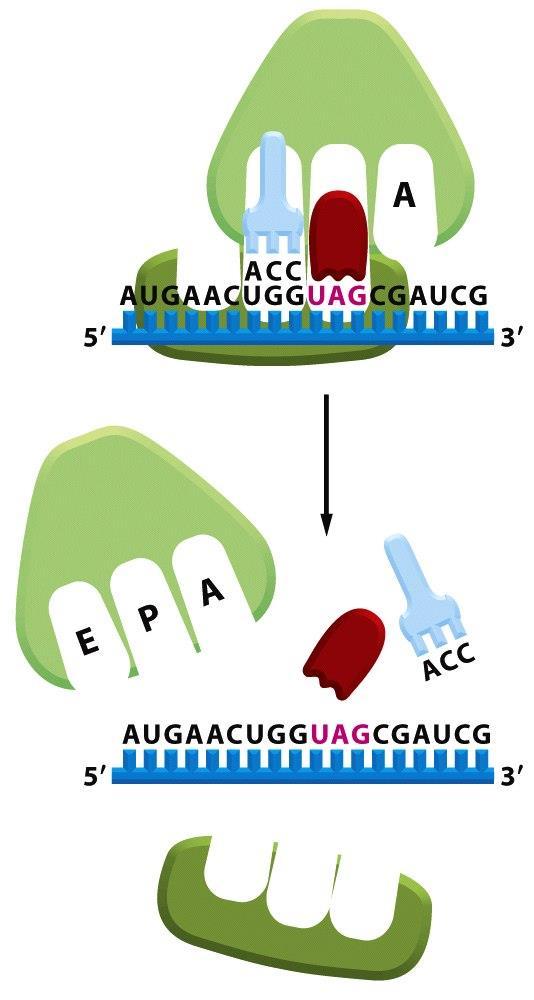 Figure 6-74 (part 3 of 3) Molecular