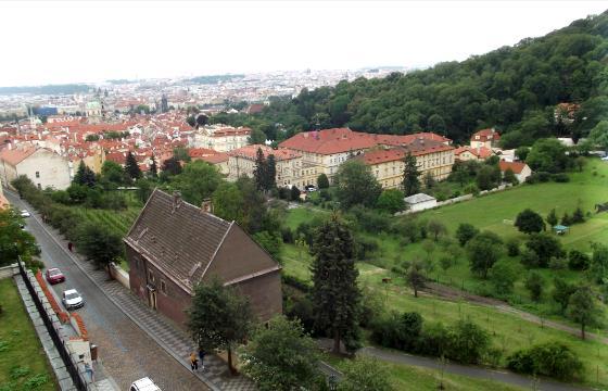 nutriční, sociální, psychologickou nebo podpůrnou péči.