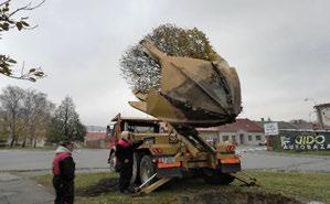 uzavření dodavatelských smluv na pěstební a těžební činnosti, - uzavření odběratelských smluv na prodej dříví, - předávání pracovišť a kontrola provedeného plnění lesnických
