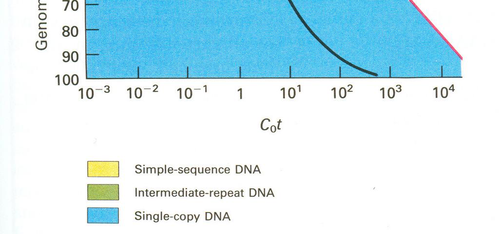 nekódující RNA (introny, rrna, trna, mirna etc.) transpozony regulační sekvence junk?