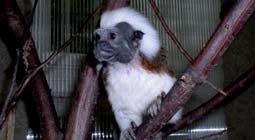 čísle 723 306 963 (Hanka) a 721 293 395 (Iva), nebo e-mailem na adrese hanamcgee2000@gmail.com.