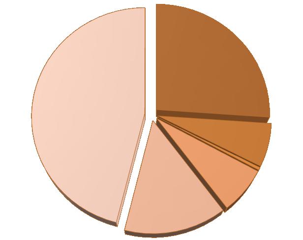 Teroristické útoky 1970-2012 podle druhu ozbrojený útok únos 46,1 % 26,1 % útok beze zbraně 6,4 % útoky na budovy, infrastrukturu 14,2 % 6,8 % 0,4% vraţda výbuch bomby Graf č.