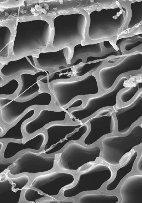 strana 13 mikroskopické snímání (SEM) Scanning Electron Microscope