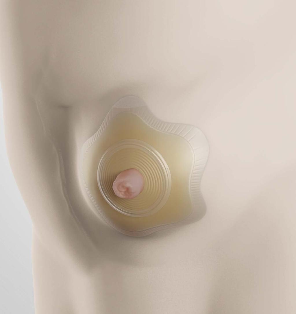 Helios Časopis pro stomiky České ILCO vítězem ceny Coloplast Merit Award za rok 2018 Strana 3 Svaly pánevního