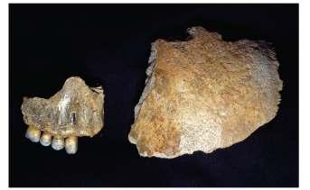 Doba kamenná Paleolit (1 mil. 8 000 BC) a mezolit (8 000 6 000 BC) Ve starší a střední době kamenné převládal kořistnický způsob života.