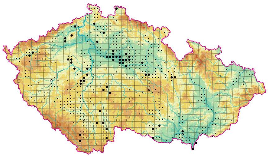 klesá a druh vytváří jen velmi rozvolněné porosty s malou biomasou (Coops et al. 1994). Dynamika a management. Tato asociace je přirozenou vegetací pobřeží sladkých stojatých vod.