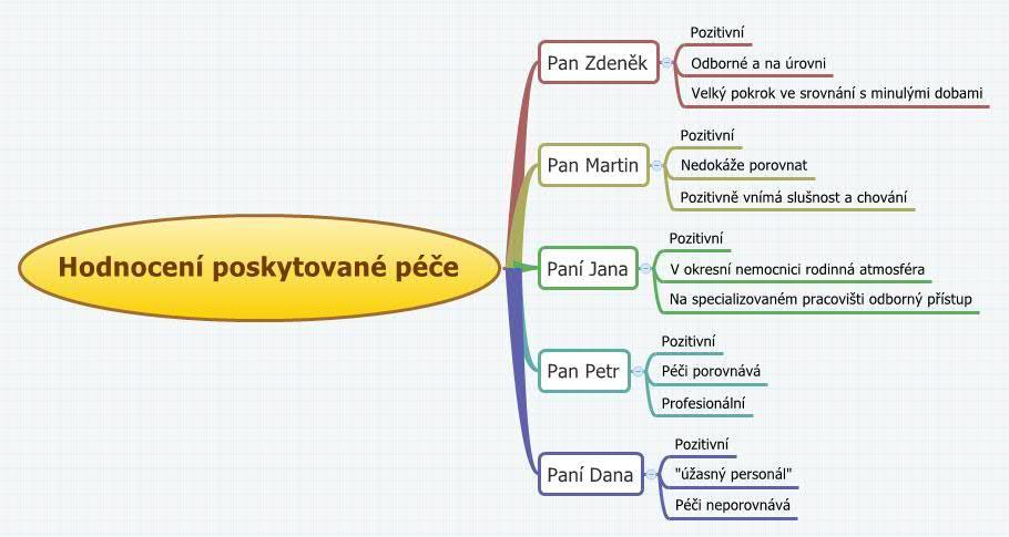 Myšlenková mapa 2 Hodnocení poskytované péče Myšlenková mapa 2 shrnuje, jak tito pacienti hodnotili poskytovanou péči.
