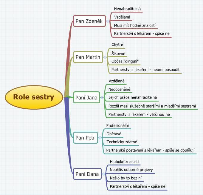 Myšlenková mapa 5 Role sestry v procesu transplantace Myšlenková mapa popisuje vnímání role sestry v procesu transplantovaných nemocných, kteří se zúčastnili rozhovoru pro tuto práci.
