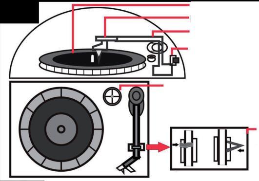 GRAMOFON Před prvním použitím Otočný talíř Přenoska Tónové rameno Rychlost přehrávač 33/45/78 K dispozici je šroub, která chrání podstavce na fonograf během přepravy.