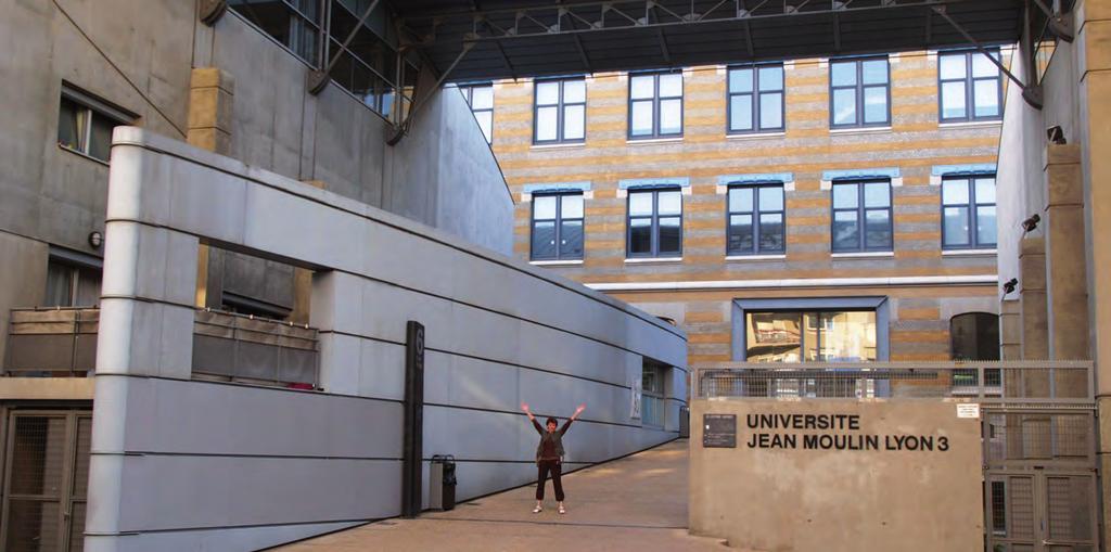 Činnost institutu podporuje od jeho založení Francouzské velvyslanectví v České republice. Hlavním partnerem ve Francii je iaelyon, School of Management, Université Jean Moulin Lyon 3.