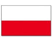 Polnisch Proszę wypełnić! imię/ Vorname: nazwa/ Name: adres/ Adresse in Hamm: Numer telefonu/ Telefonnummer: Języki/ Sprachen: 1.