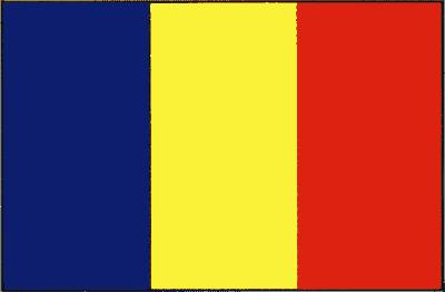 Rumänisch Vă rugăm să completați!