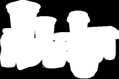 , Leuconostoc spp.