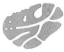 Plynová chromatografie (GC) - Účinnost chromatografické kolony C.