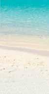 = 0,13 89,90 4 Bref Power Aktiv 2 x 50 g Ocean,